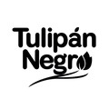 Tulipan Negro