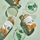Заспокійливий тонер з морським полином ROUND LAB Mugwort Calming Toner 300 ml Заспокійливий тонер з морським полином ROUND LAB Mugwort Calming Toner 300 ml фото 2